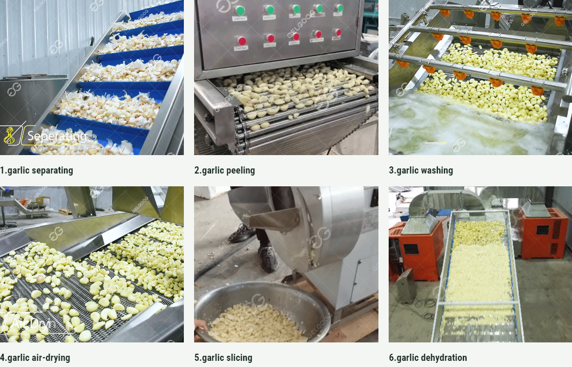 Dehydrated garlic slice production line for sale
