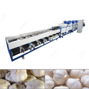 machine à calibrer l'ail