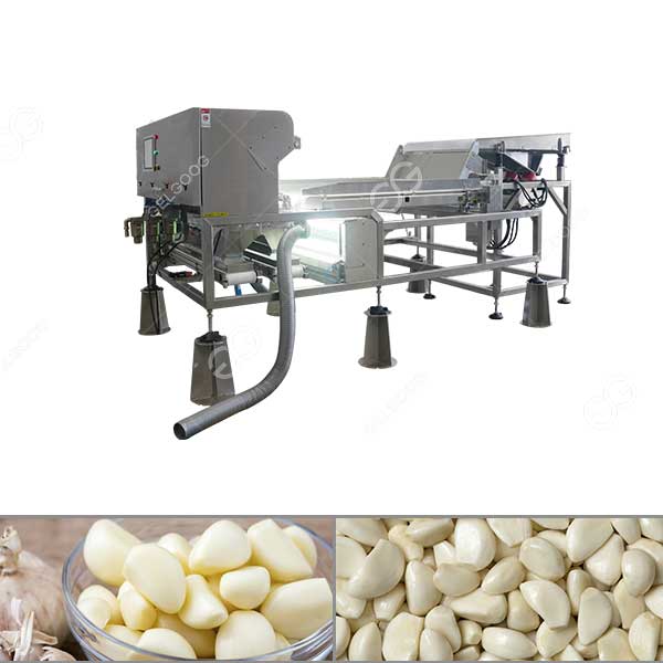 Garlic Color Sorting Machine for High-Precision Grading - Image 2
